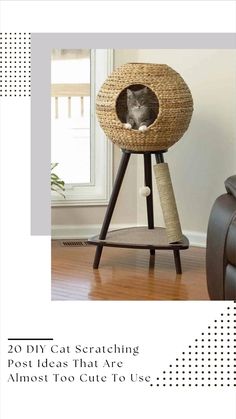 a cat sitting on top of a scratching post in a living room with the caption, 10 diy cat scratching post ideas that are almost too cute to use