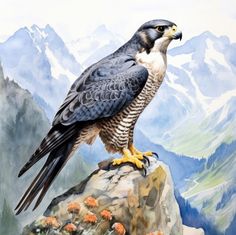 a painting of a hawk sitting on top of a rock with mountains in the background