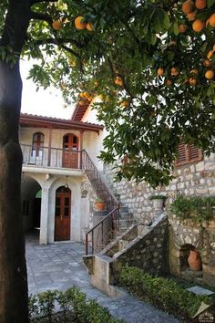 an orange tree in front of a stone building with stairs leading up to the second floor