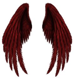 two red wings on a white background with clippings to the left and right