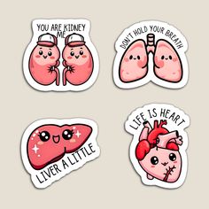 four stickers that say you are kidney, livers, and heart shaped lungs