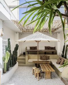 an outdoor living area with couches, tables and cactus plants on the floor next to it