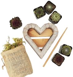 succulents are arranged around a wooden heart shaped decoration