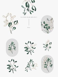 the different types of flowers and leaves are shown in this graphic style, which is also used