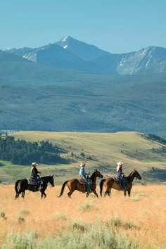 four people are riding horses in an open field with mountains in the backgroud