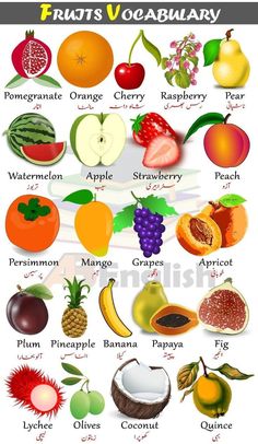 an image of fruits and their names