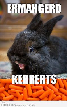 a rabbit is laying down with carrots in front of it and the caption reads, kerberts