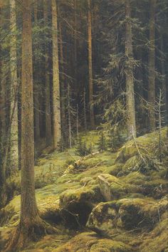 a painting of some trees and grass in the middle of a forest with mossy ground