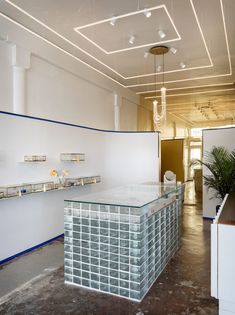 an empty office with a glass counter and plant in the center, surrounded by white walls