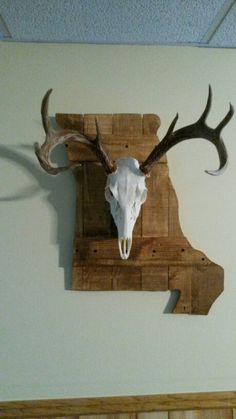 a deer's head mounted on the wall above a shelf