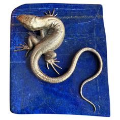 a lizard sitting on top of a blue surface