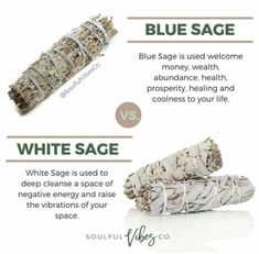 Smudging Prayer, Usui Reiki, Burning Sage, Sage Smudging, Magic Herbs, Blue Sage, Spiritual Cleansing, Herbal Magic, Healing Herbs