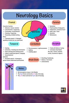 a poster with the words neurology basics on it and an image of a person's brain