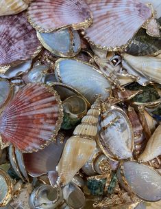 many seashells are laying on the ground together in this photo, with gold trim around them