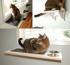 two pictures of a cat sitting on top of a window sill and looking out the window