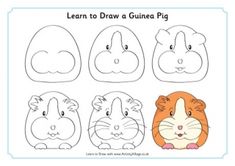 Pig Drawing Easy, Guinea Pig Diy, Pig Crafts, Pig Drawing, Funny Sloth, Draw Animals, A Sloth, Pig Art