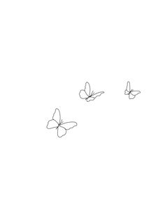 three butterflies flying in the air on a white background and one is drawn with black ink