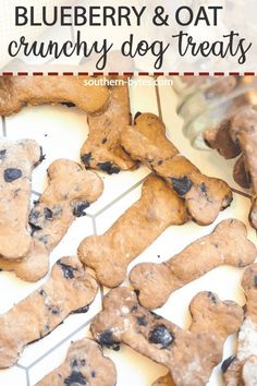 blueberry and oat crunchy dog treats with text overlay that reads, blueberry and oat crunchy dog treats