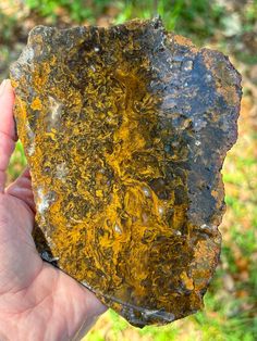 a person holding up a piece of rock with moss growing on it's surface