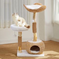 a cat sitting on top of a scratching post