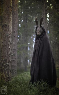 a person wearing a bunny mask and black cloak in the woods with trees behind them