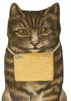 a drawing of a cat with a tag on its chest, sitting in front of a white background