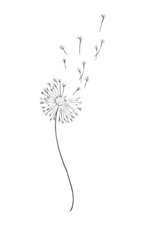 a drawing of a dandelion blowing in the wind