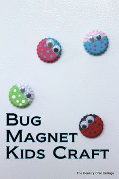 three magnets with different designs on them and the words bug magnet kids craft written below