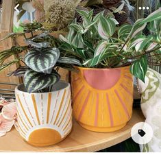 two vases with plants in them sitting on a table next to other decorative items