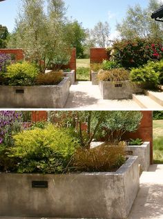 three different views of the same planter in two different sections, each with plants growing out of it