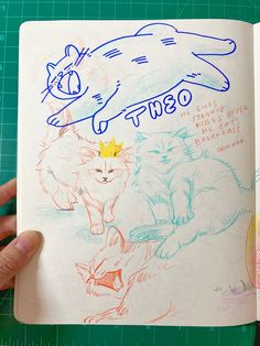 a hand is holding an open book with drawings on it and a drawing of two cats