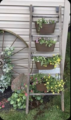 an old ladder is used as a flower pot holder