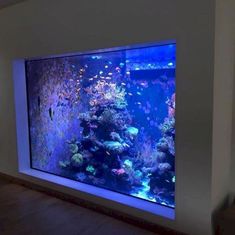 an aquarium is shown in the corner of a room