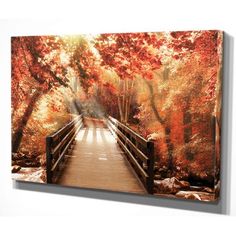 a wooden bridge over a river surrounded by fall colored trees in the forest with sun shining through