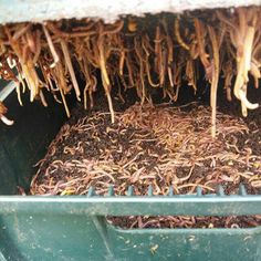 the inside of a dumpster filled with dirt