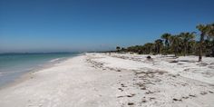 the beach is covered in white sand and palm trees