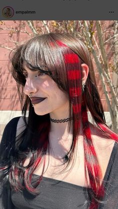 Horizontal Hair Dye, Scene Striped Hair, Hair Color Design Ideas, Scene Red Hair, Hair With Tips Dyed, Patchy Hair Dye, Horizontal Striped Hair, Rainbow Raccoon Tail Hair, Red And Black Raccoon Tails Hair