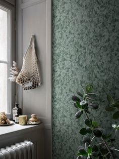 a window sill with plants and other items on it next to a radiator