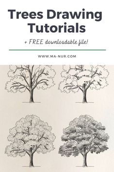 trees drawing with the title free printables for beginners to learn how to draw trees