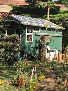 a small green house sitting in the middle of a lush green yard with trees and bushes