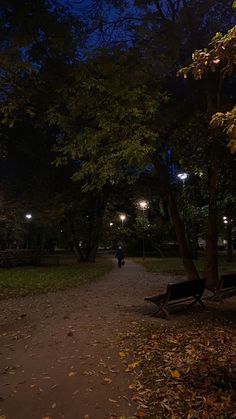 a person walking down a path at night in a park with trees and benches on both sides