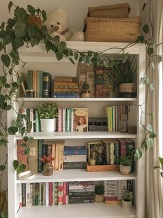 a bookshelf filled with lots of books next to a potted plant and window