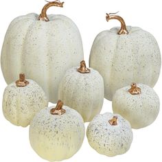 five white pumpkins with speckled paint and gold decorations on them, all sitting side by side