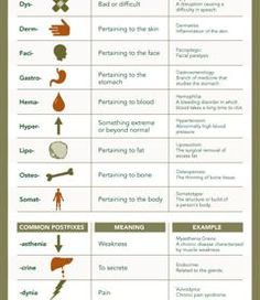 an info sheet with different types of medical items