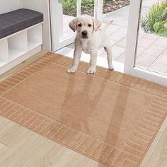 a puppy standing on a door mat in front of a glass door and looking at the camera