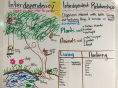 a white board with writing on it that says, intergenenty and other things