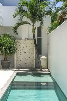 an outdoor swimming pool with palm trees in the corner and a white fence around it