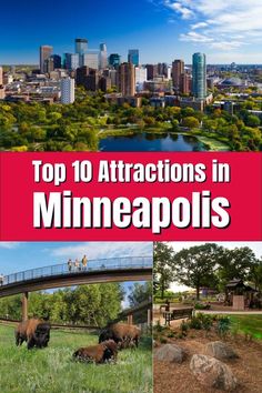 the top 10 attractions in minneapolis, minnesota