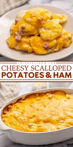 Check out this cheesy scalloped potato recipe and add it to your Thanksgiving side dish recipes! This easy potato casserole with ham, layers of potatoes, and a homemade sharp cheddar cheese sauce. Don't miss it! Cheesy Scalloped Potatoes And Ham, Scalloped Potatoes And Ham Recipe, Homemade Cheddar Cheese, Cubed Ham, Easy Cheesy Scalloped Potatoes, Thanksgiving Recipes Side Dishes Easy, Scalloped Potato Casserole, Cheese Scalloped Potatoes, Potatoes And Ham