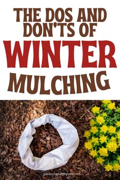 A bag of bark mulch opened and placed next to a patch of yellow flowers in a garden bed. Thriving Garden, Garden Maintenance